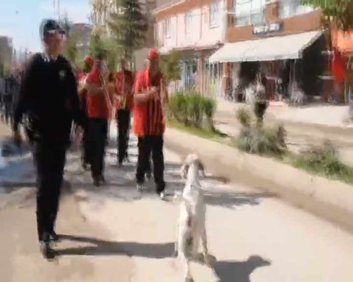 Bandoya eşlik eden köpek