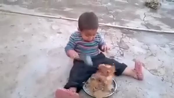 Yemeğini tavuklara kaptıran çocuğun mücadelesi!