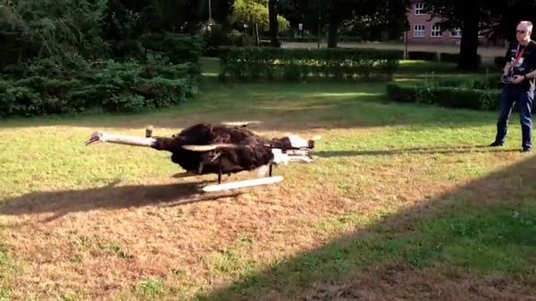Ölü hayvanları drone yapıp uçuruyorlar!