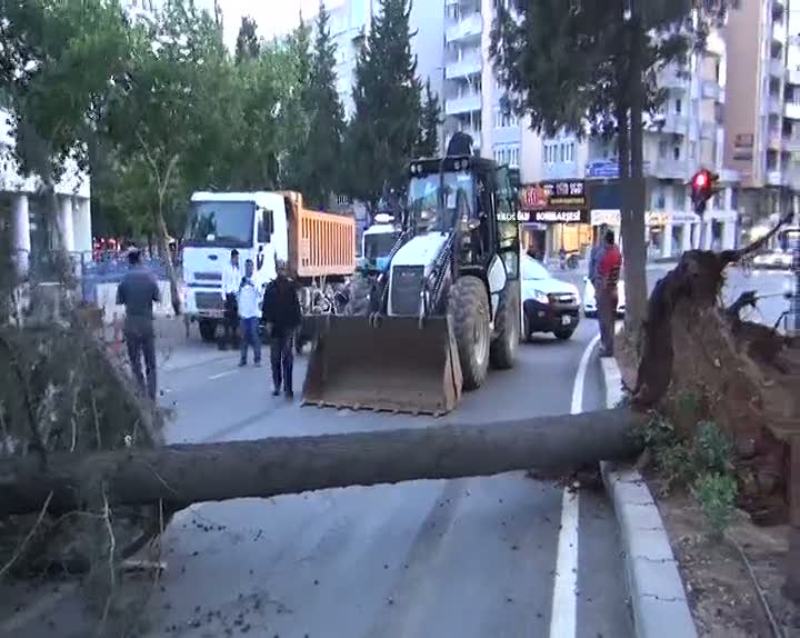 Otomobil takla attı!