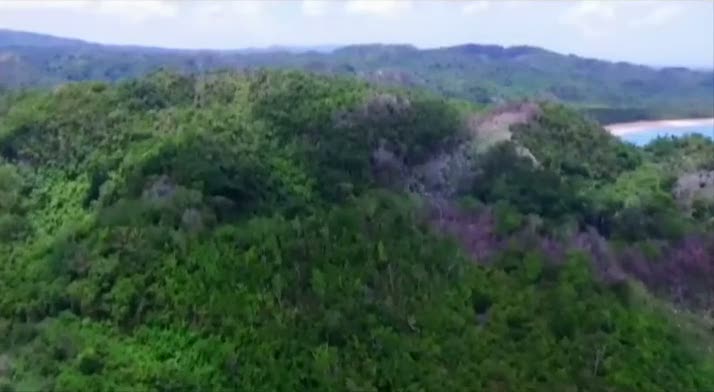 Survivor'da Damla Can sigara içerken görüntülendi
