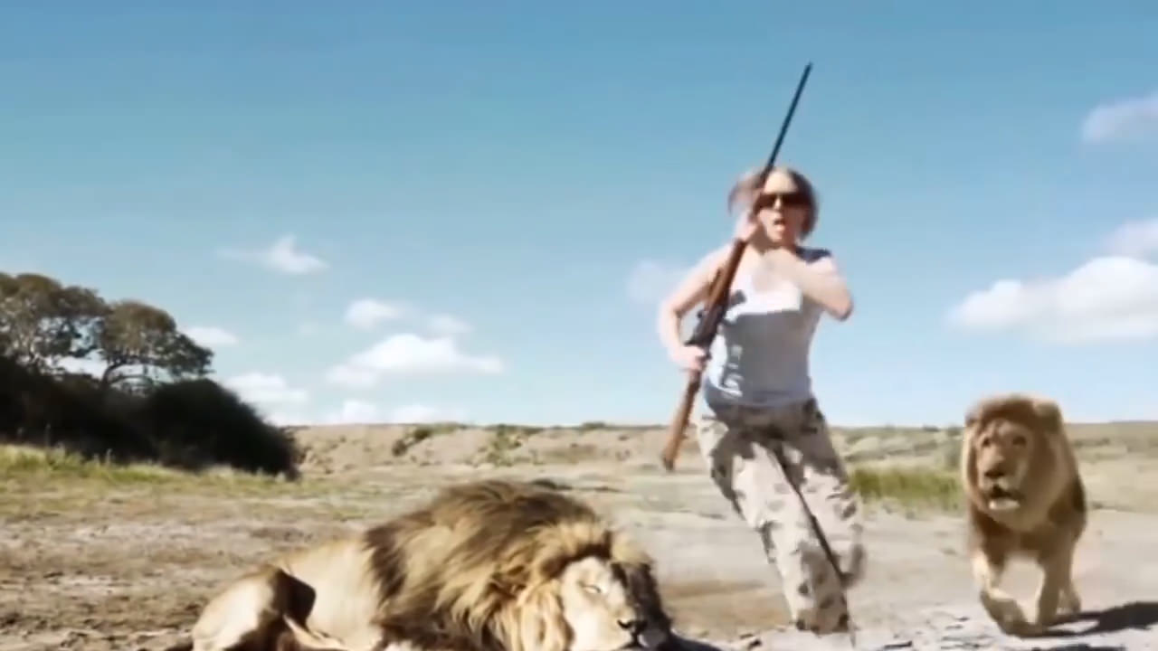 Aslan öldüren avcı çifte aslan saldırdı