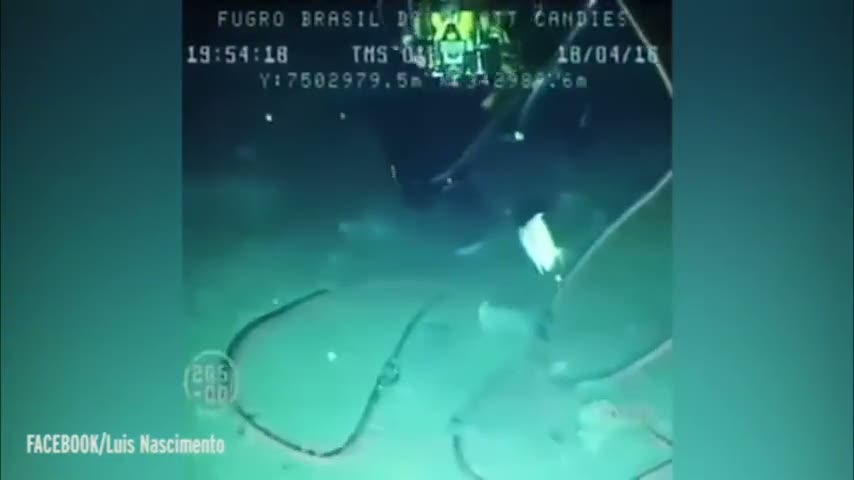 Kılıç balığının dalgıca saldırı anı kamerada