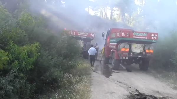 Ormanlık alanda yanan traktör paniğe neden oldu