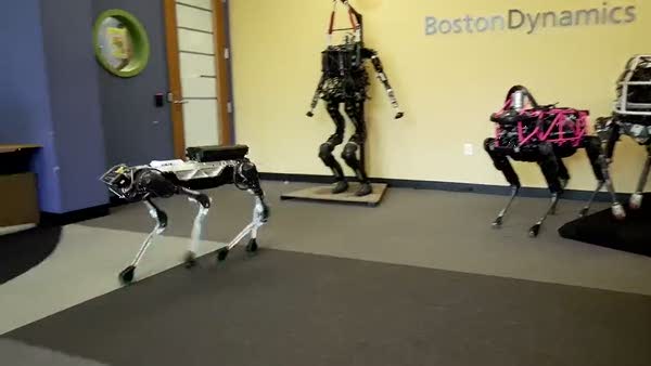 Tüm işleri yapabilen robot hayvan
