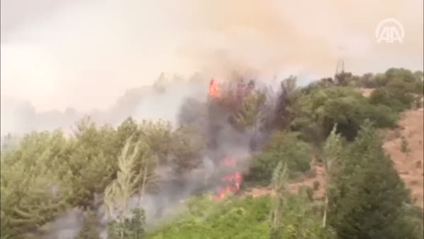 Kumluca'da orman yangını