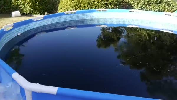 Kola dolu havuzda mentoslarla yüzmek