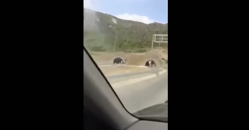 İşte Erdoğan'ın bahsettiği o video  .