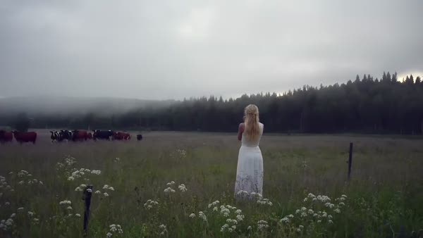 Sığır sürüsünü sesiyle kontrol eden İsveçli kadın