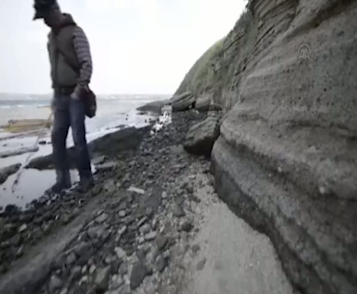 Hobi amaçlı topladığı materyaller, milyonlarca yıllık fosil çıktı