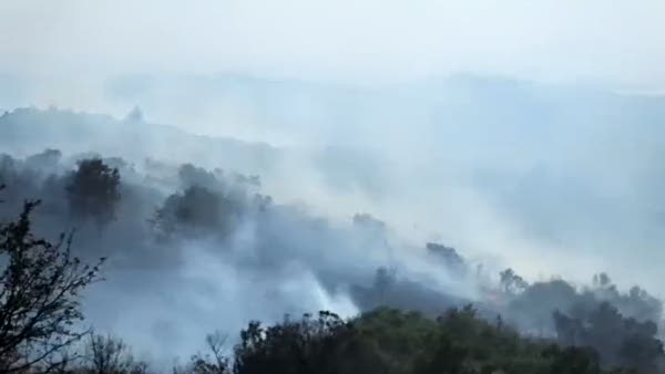 Balıkesir'de orman yangınları korkuttu