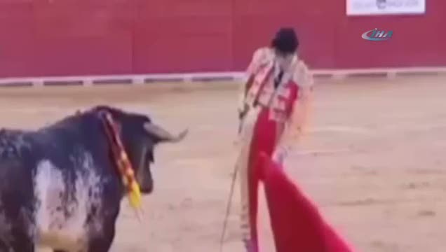 Boğa matadoru öldürdü