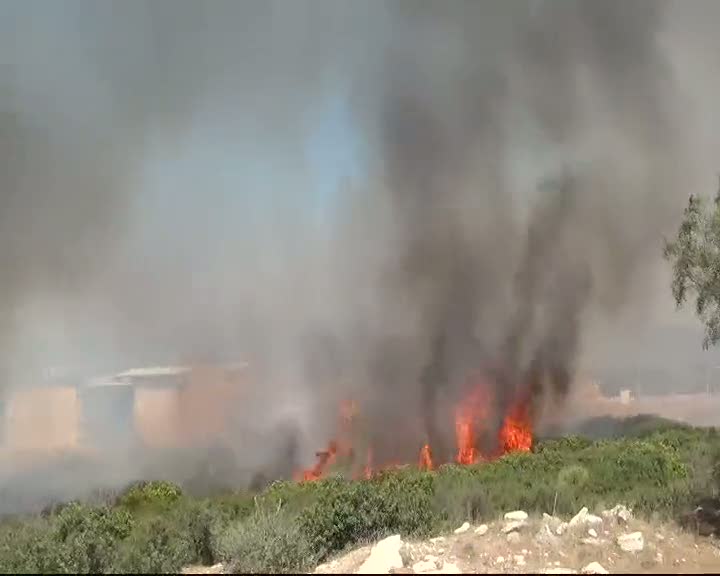 Didim'de makilik alanda çıkan yangın korkuttu