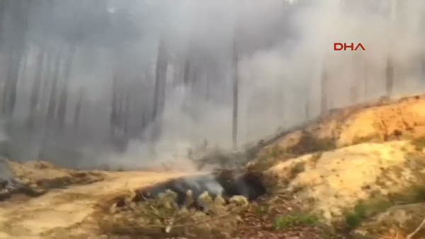 Aydın'da çamlık bölgede orman yangını