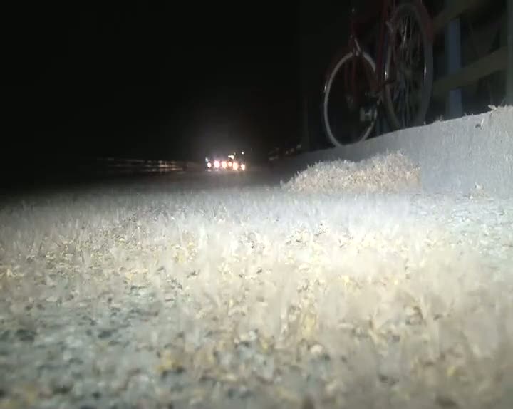 Birgün sineklerinin ‘ölüm dansı’ başladı