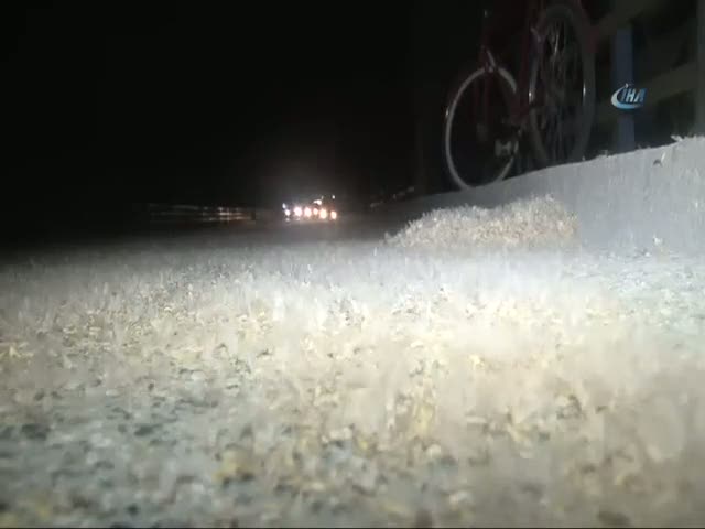 Birgün sineklerinin ’ölümle dansı’ başladı