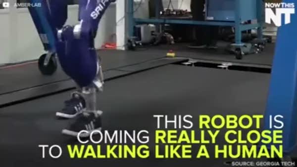 İnsan gibi yürüyen robot şaşkınlık veriyor
