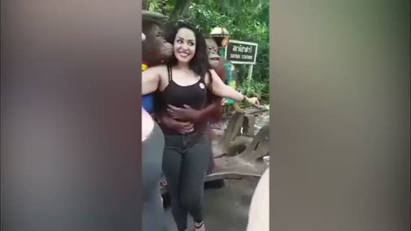 Orangutan turist kadını böyle taciz etti