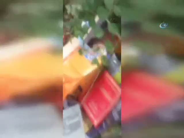 Feto’nun kitapları ormanda bulundu