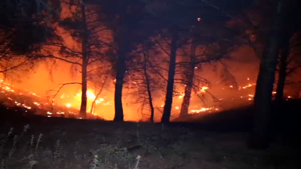 Kazdağları'nda orman yangını