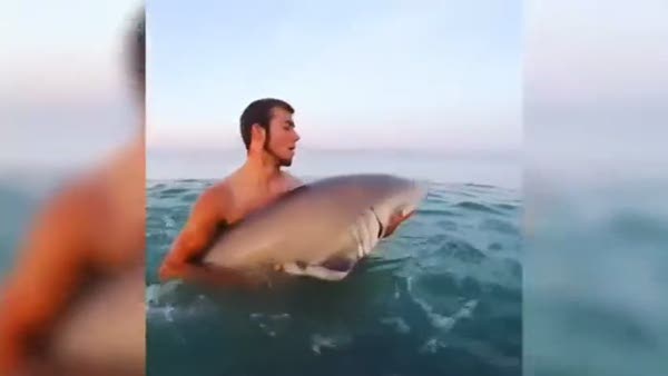 Köpekbalığıyla selfie çektirince olay oldu!