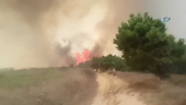 Çatalca'da orman yangını