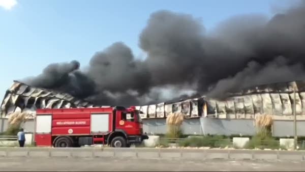 Milas'ta yangın fabrikayı kül etti