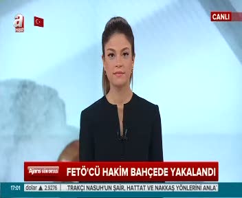 Kaçak Özel Yetkili Eski Hakim fındık bahçesinde yakalandı
