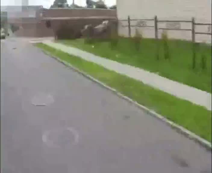 Böyle tek teker görülmedi