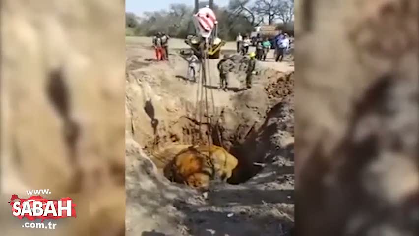 Dünyanın ikinci en büyük göktaşı bulundu