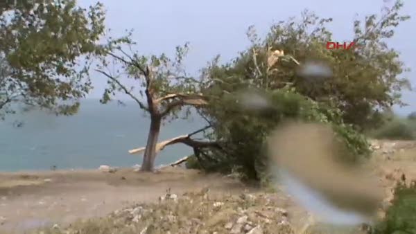 Isparta'da şiddetli rüzgar ağaçları devirdi