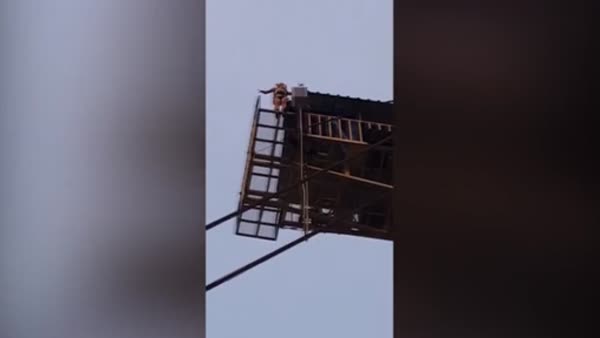 Bağlamaya unutulan ip ile bungee jumping yapan kadının korkunç anları