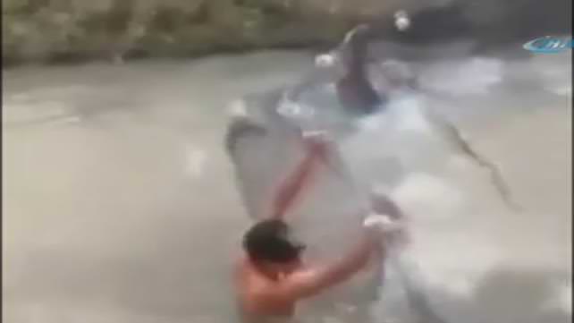 Nehirdeki ’balık akını’ kameraya yansıdı