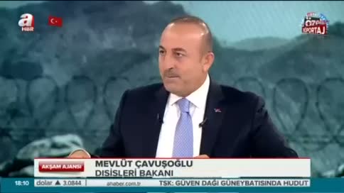 Dışişleri Bakanı Mevlüt Çavuşoğlu: Yerel güçler destek istiyor