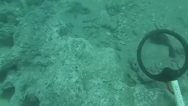 Okyanus Dibinde öyle bir şey buldu ki