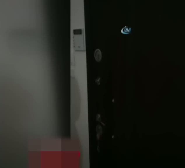 Figen Yüksekdağ'ın gözaltına alındığı anlar