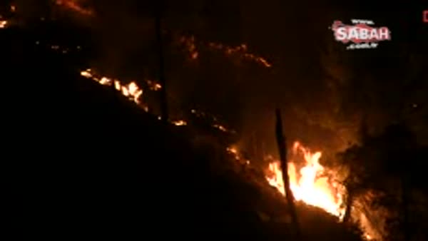 Tokat'ta orman yangını: 3 bin dönümlük alan yandı