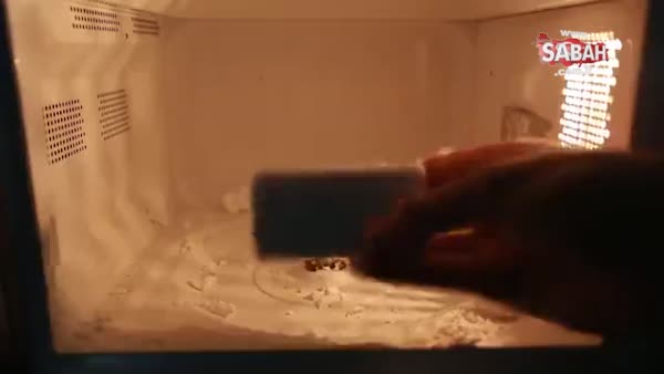 Mikrodalga fırına sabun konulursa ne olur?