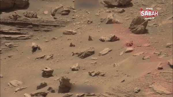 Mars yüzeyindeki canlıya benzeyen görüntü heyecana sebep oldu