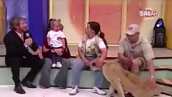 Evcil aslan canlı yayına bebeği yemeye kalkıştı