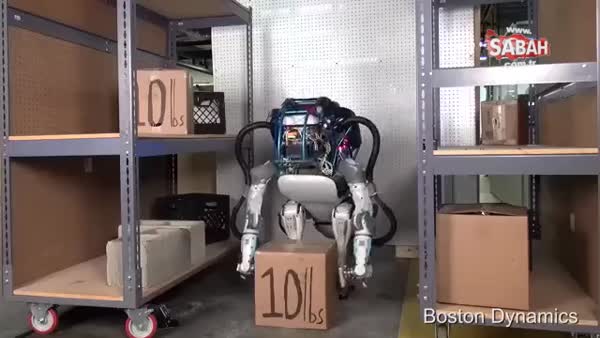 Onuru kırılan robotun davranışı şaşırttı!