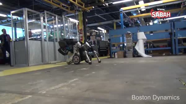 İşte yetenekli taşıma robotu: Handle!