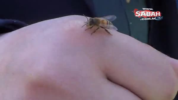 Uysal arılar elden ele dolaştı