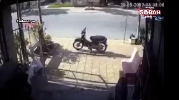Film gibi kazada bir köpek iki motosikleti devirdi!