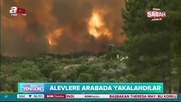 Portekiz'de orman yangını: 62 ölü