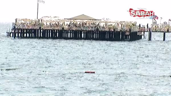 Antalya’da denize giren 10 kişi ısırıldı!
