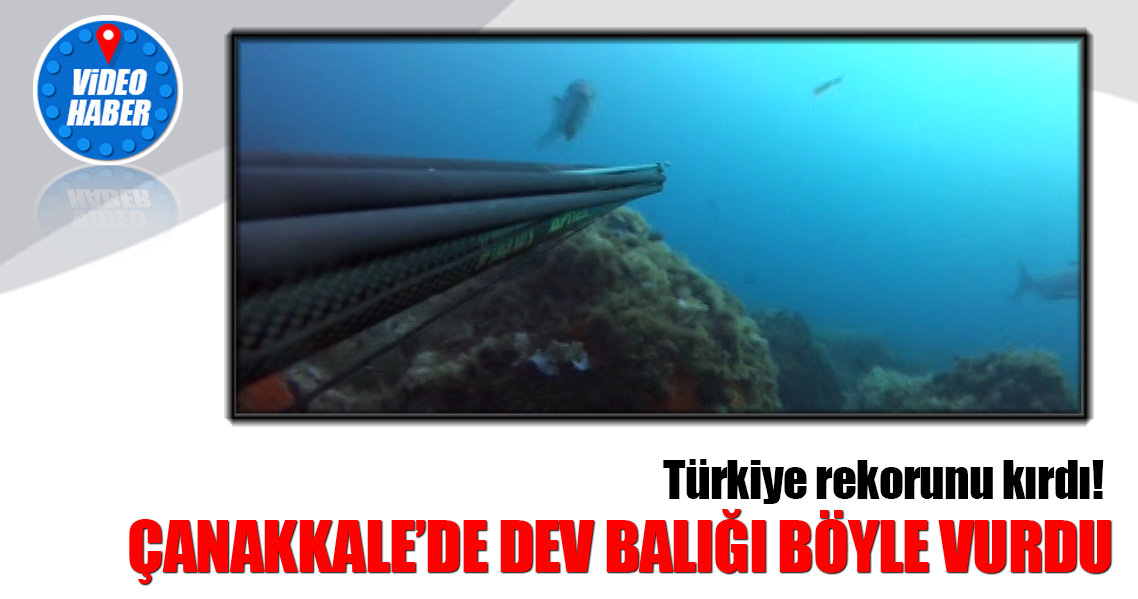 Bu balık Türkiye rekoru