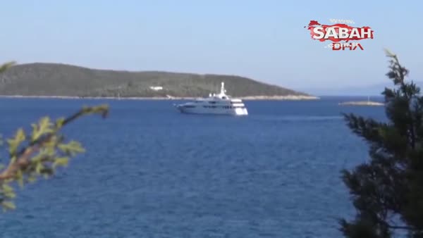 Bodrum Orak Adası'nda denize girenlere caretta caretta saldırısı