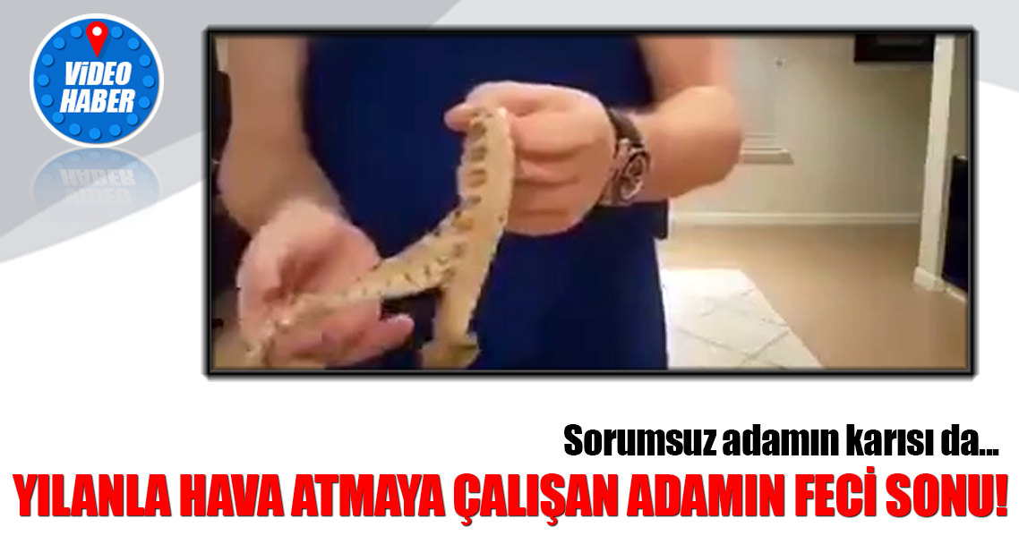 Beslediği yılanla hava atmaya çalışan adamın sonu!