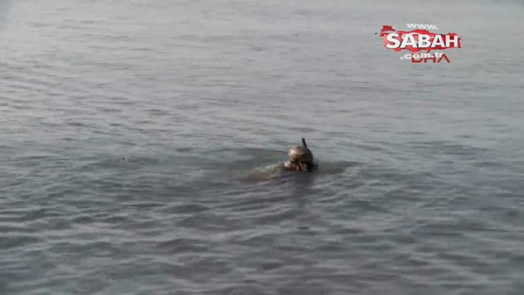 İstanbul'da boğuldu sandıkları adam bakın nasıl döndü!